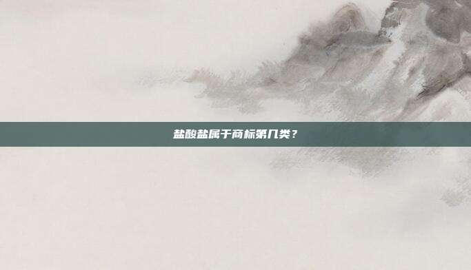 盐酸盐属于商标第几类?