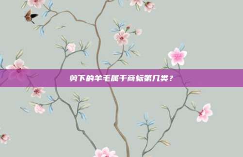 剪下的羊毛属于商标第几类?