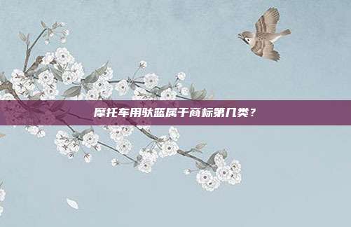 摩托车用驮篮属于商标第几类?