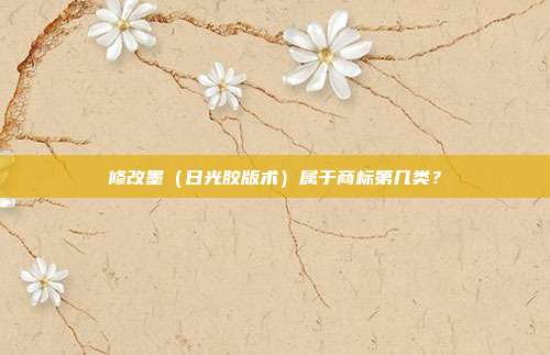 修改墨(日光胶版术)属于商标第几类?