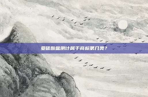 亚硫酸盐测计属于商标第几类?