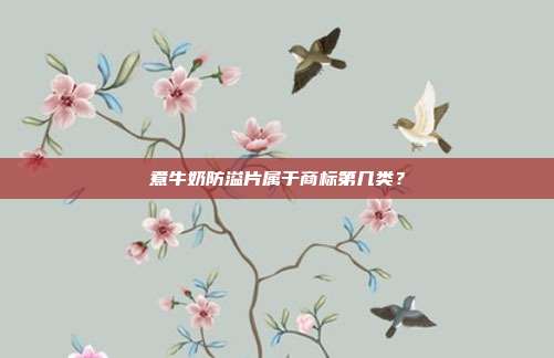 煮牛奶防溢片属于商标第几类?