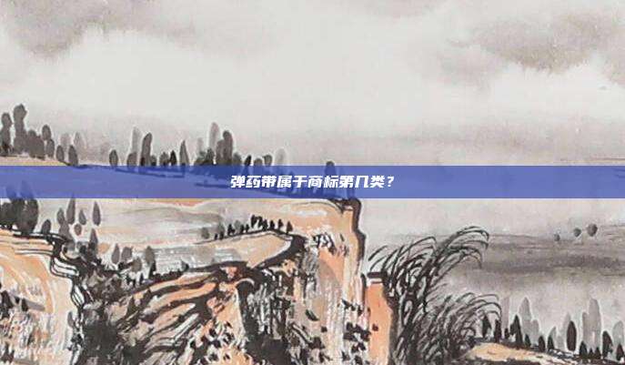 弹药带属于商标第几类？