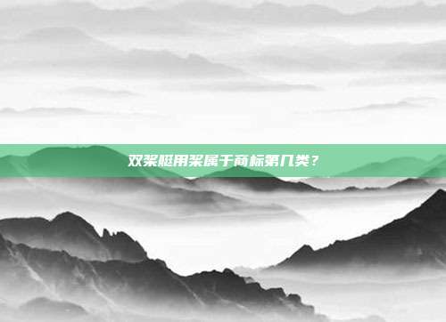 双桨艇用桨属于商标第几类?