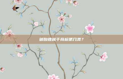 碳酸锂属于商标第几类?