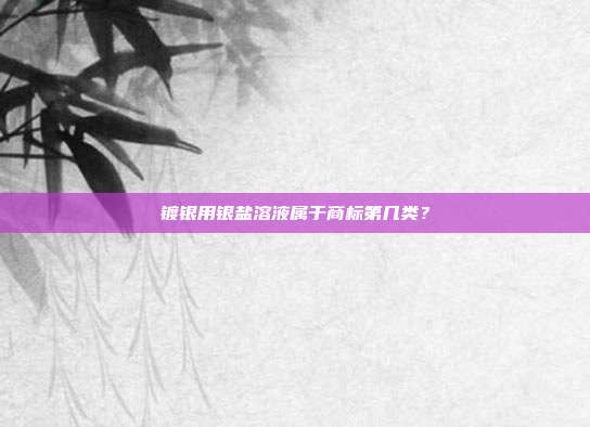 镀银用银盐溶液属于商标第几类?