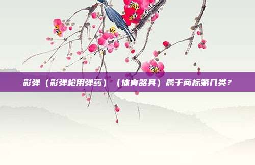 彩弹(彩弹枪用弹药)(体育器具)属于商标第几类?