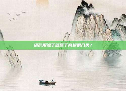摄影用滤干器属于商标第几类？