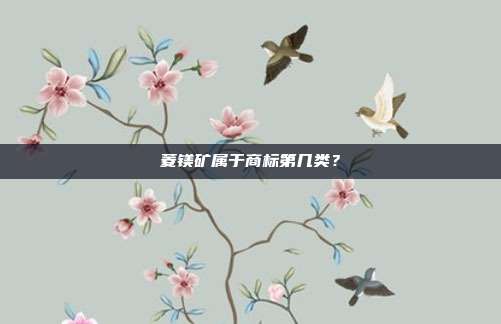 菱镁矿属于商标第几类？