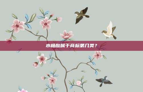 水杨酸属于商标第几类?