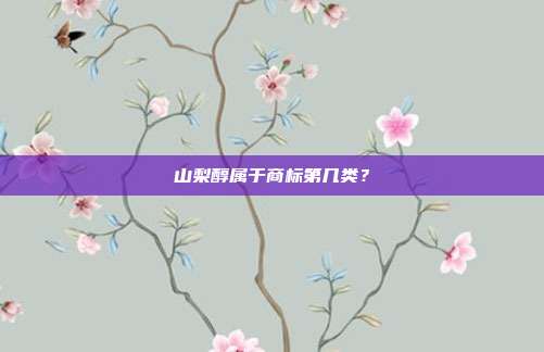 山梨醇属于商标第几类？