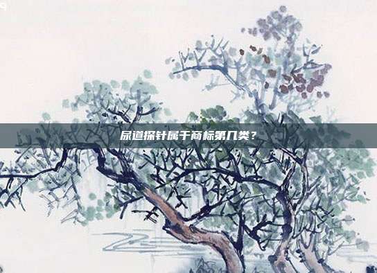 尿道探针属于商标第几类？