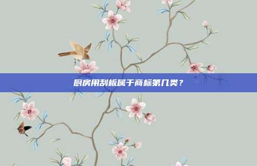厨房用刮板属于商标第几类？