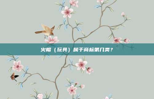 火帽（玩具）属于商标第几类？