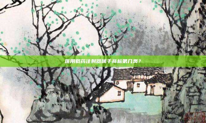 医用载药注射器属于商标第几类?