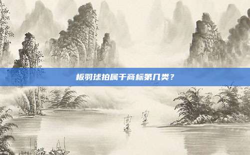 板羽球拍属于商标第几类?