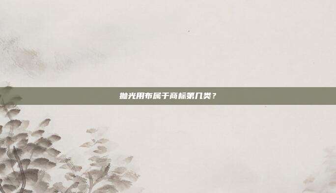 抛光用布属于商标第几类？