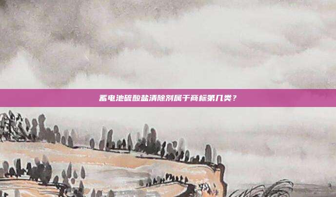 蓄电池硫酸盐清除剂属于商标第几类？