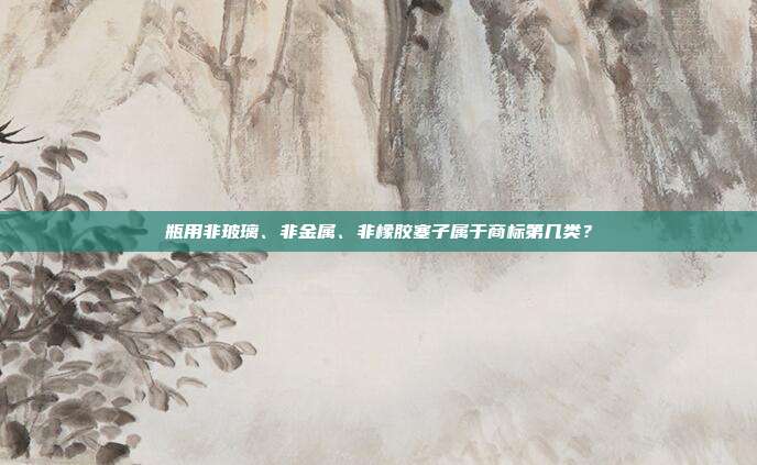 瓶用非玻璃、非金属、非橡胶塞子属于商标第几类？