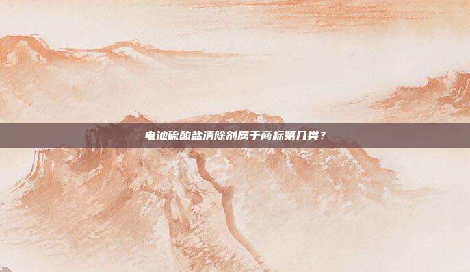 电池硫酸盐清除剂属于商标第几类?