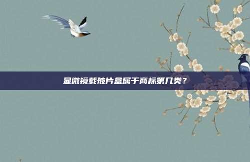 显微镜载玻片盒属于商标第几类?