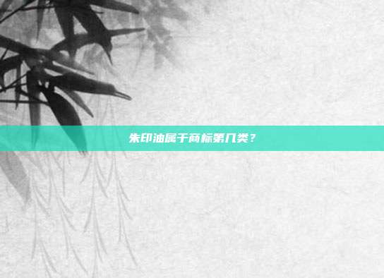 朱印油属于商标第几类？