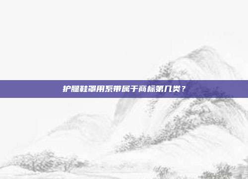 护腿鞋罩用系带属于商标第几类?