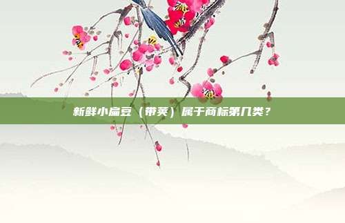 新鲜小扁豆(带荚)属于商标第几类?