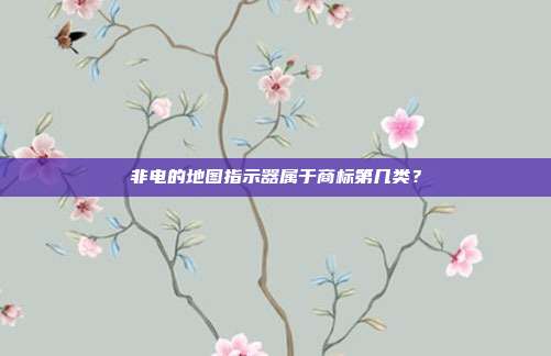 非电的地图指示器属于商标第几类?