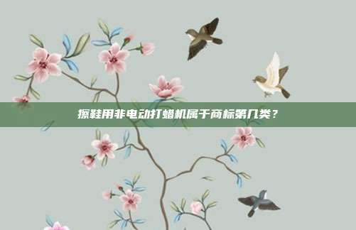 擦鞋用非电动打蜡机属于商标第几类?
