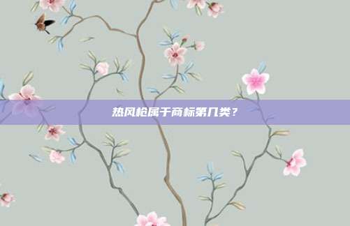 热风枪属于商标第几类？