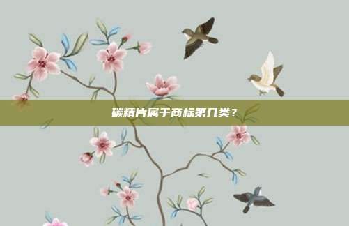 碳精片属于商标第几类？