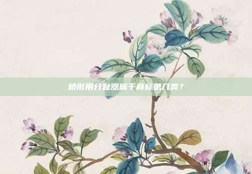 矫形用分趾器属于商标第几类?