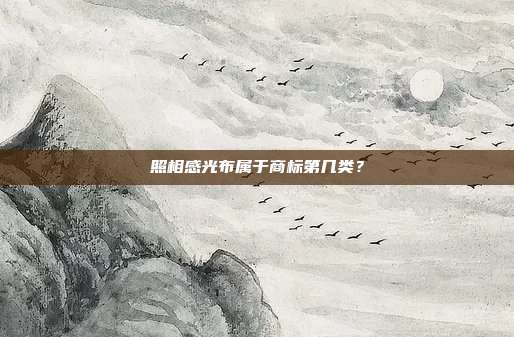 照相感光布属于商标第几类？