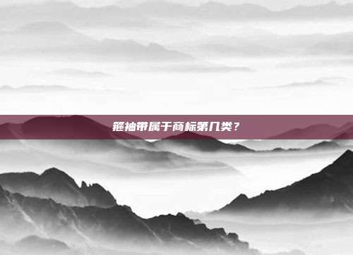 箍袖带属于商标第几类？