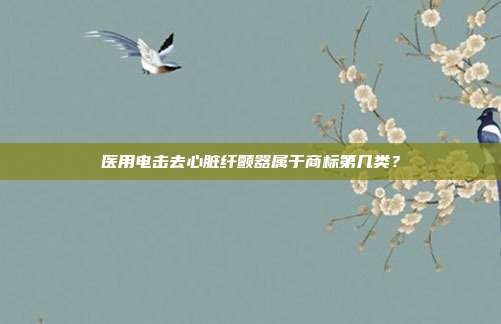 医用电击去心脏纤颤器属于商标第几类?