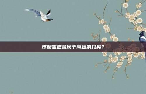 炼奶焦糖酱属于商标第几类?