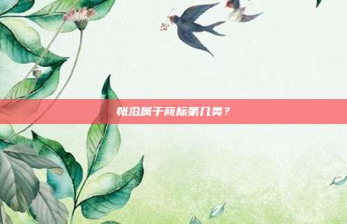 帐沿属于商标第几类?